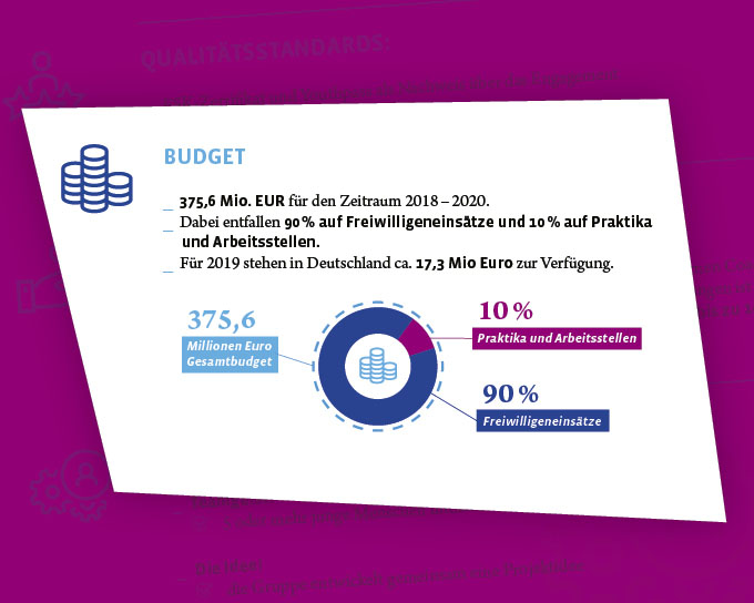 Rahmendiagramm zum Thema Budgetverteilung im Europäischen Freiwilligendienst